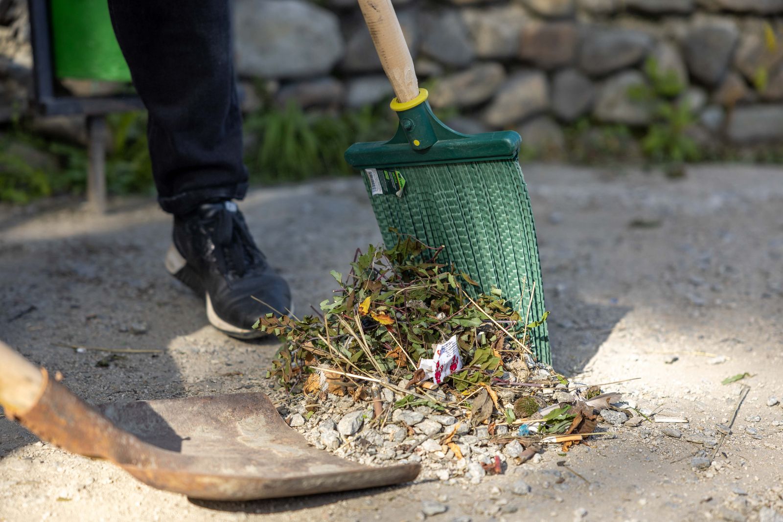 Yard waste and landscaping cleanup